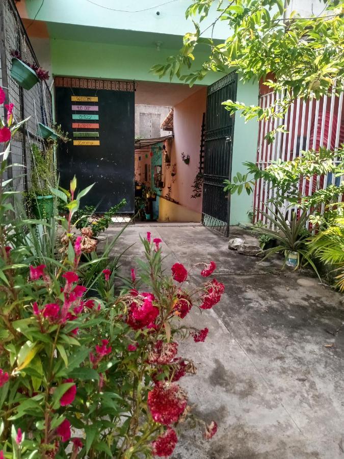 Proxima Estacion Hostel Maceió エクステリア 写真